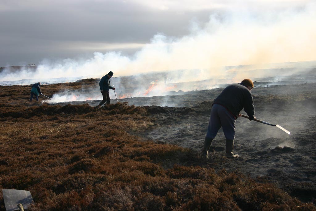 Dunnet Head fire 9.jpg