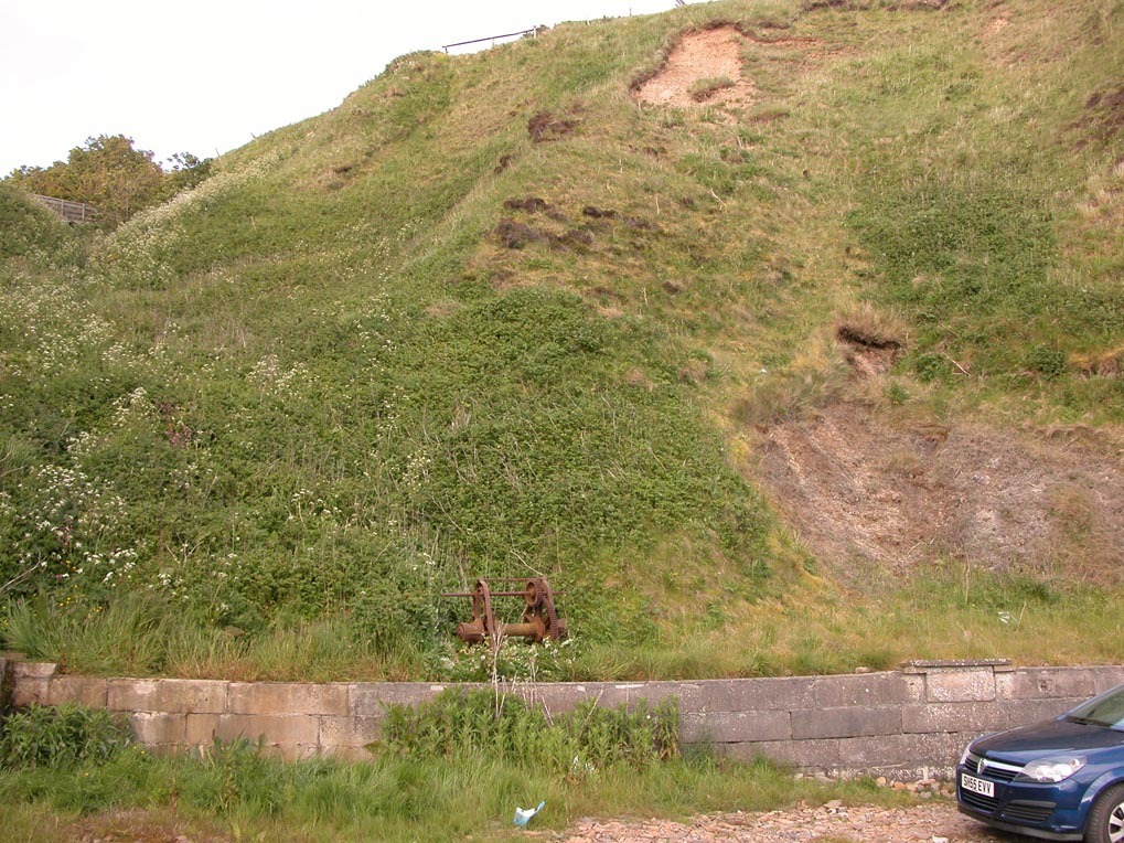 DSCN5177.jpg