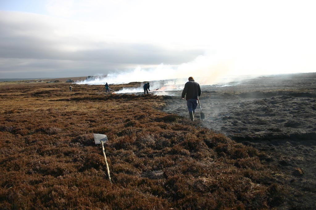 Dunnet Head fire 8.jpg
