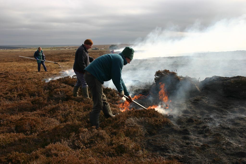 Dunnet Head fire 15.jpg