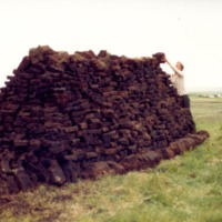 scan0001_1.jpg