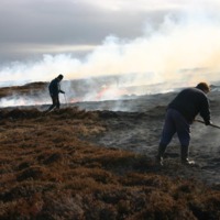 Dunnet Head Fire April 2009