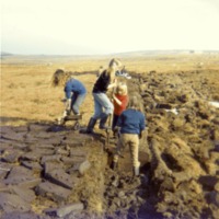 scan0002.jpg