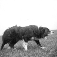 scan0004.jpg