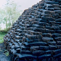 BR10 003 04 peat stack.jpg
